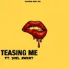 Seek - Teasing Me (feat. Joel Smart) - Single
